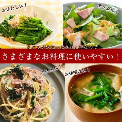 <先行予約受付中!R7年12月頃配送予定>【数量限定】志布志湾ほうれん草計1kg(200g×5袋)
