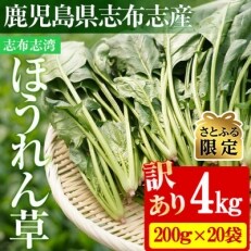 【さとふる限定】【数量限定・訳あり】志布志湾ほうれん草(200g&times;20袋 合計4kg)