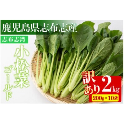 志布志湾小松菜ゴールド 計2kg(200g×10袋)