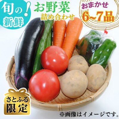 【さとふる限定】九州産おまかせ旬の新鮮お野菜詰め合わせ6~7品目