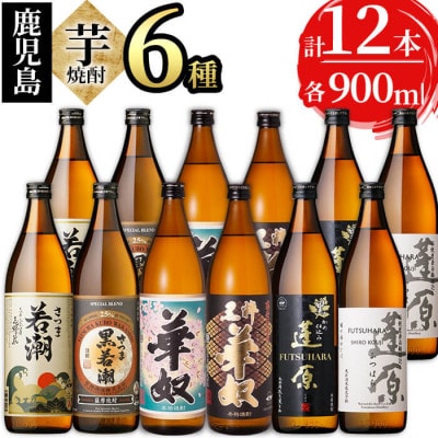 志布志の本格芋焼酎 6種 900ml×12本セット　d1-007
