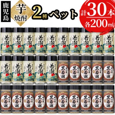 若潮酒造の白若潮・黒若潮200ml×30本セット　c0-097
