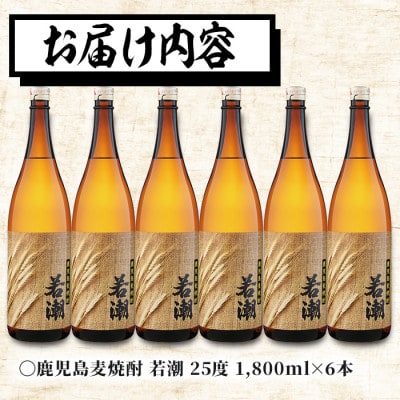 鹿児島麦焼酎<若潮>(各1.8L・計6本)　c4-012