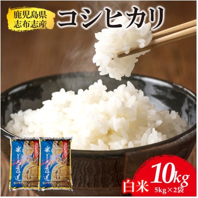 【令和5年産】鹿児島県志布志市産こしひかり 精白米 計10kg(5kg×2袋)