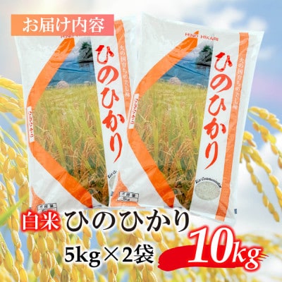 【令和5年産】鹿児島県志布志市産ヒノヒカリ 精白米 計10kg(5kg×2袋)
