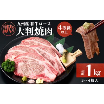 【生産者応援企画】九州産和牛ロース大判焼肉(合計1kg・3枚～4枚)(志布志市)