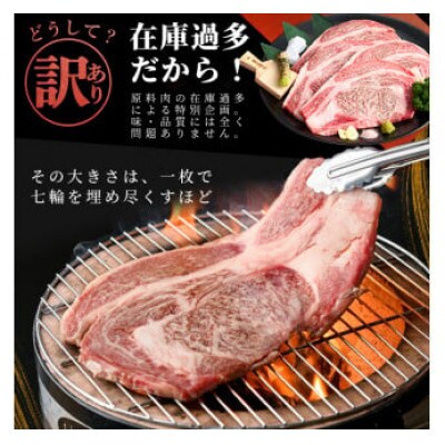 【生産者応援企画】九州産和牛ロース大判焼肉(合計1kg・3枚～4枚)(志布志市)