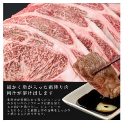 【生産者応援企画】九州産和牛ロース大判焼肉(合計1kg・3枚～4枚)(志布志市)