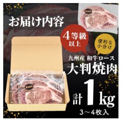 【生産者応援企画】九州産和牛ロース大判焼肉(合計1kg・3枚～4枚)(志布志市)