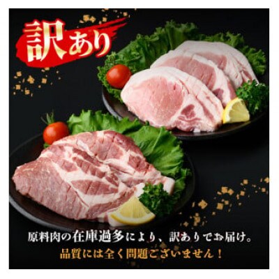 【生産者応援企画】鹿児島県産黒豚ロースとんかつ用・肩ロースとんてき用セット(計840g)(志布志市)