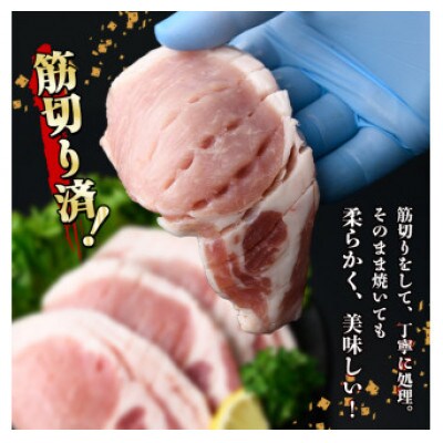 【生産者応援企画】鹿児島県産黒豚ロースとんかつ用・肩ロースとんてき用セット(計840g)(志布志市)