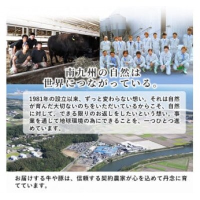 黒毛和牛切り落とし (合計900g・300g×3P)