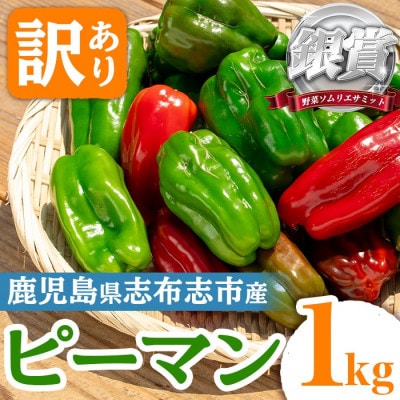 志布志産訳ありピーマン(1kg)【野菜ソムリエサミット銀賞受賞!】