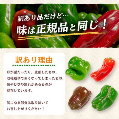 志布志産訳ありピーマン(1kg)【野菜ソムリエサミット銀賞受賞!】