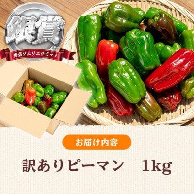 志布志産訳ありピーマン(1kg)【野菜ソムリエサミット銀賞受賞!】