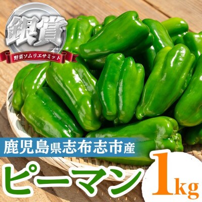 志布志産ピーマン(1kg)【野菜ソムリエサミット銀賞受賞!】