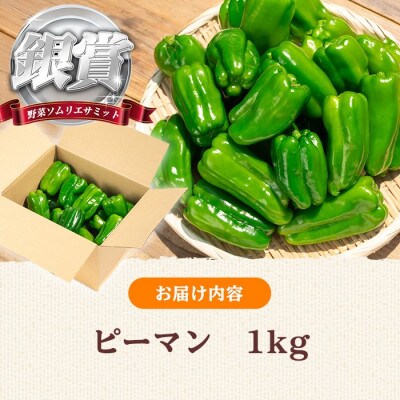 志布志産ピーマン(1kg)【野菜ソムリエサミット銀賞受賞!】