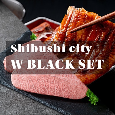鰻と黒毛和牛を楽しむWブラックセット(志布志市)【複数個口で配送】