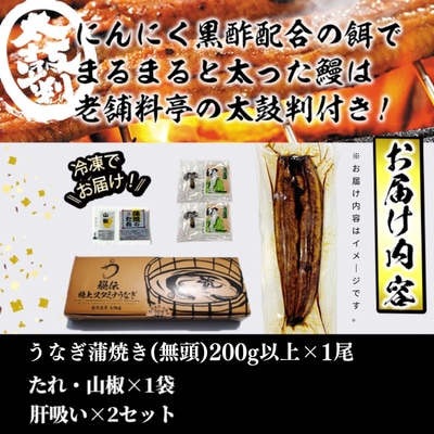 鰻と黒毛和牛を楽しむWブラックセット(志布志市)【複数個口で配送】