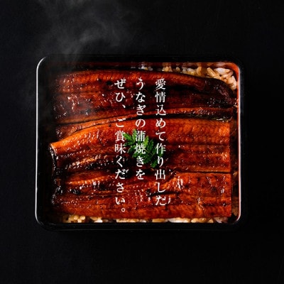 霧島湧水鰻の蒲焼き約140g×4尾(計約560g)
