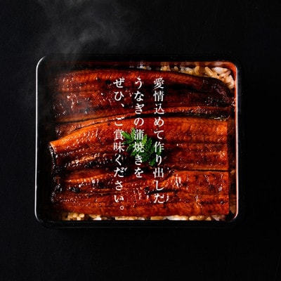 霧島湧水鰻の蒲焼き約156g×4尾(計約624g)