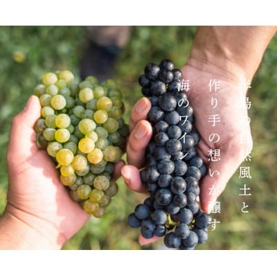 禅の里わいん(赤ワイン、フルボトル750ml)