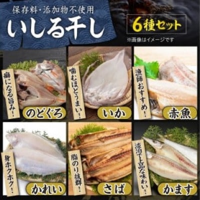 【復興支援】いしる干し(干物、冷凍)セット(中)