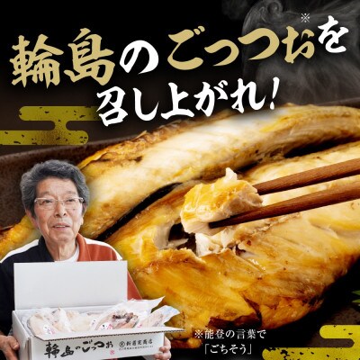 【復興支援】いしる干し(干物、冷凍)セット(大)