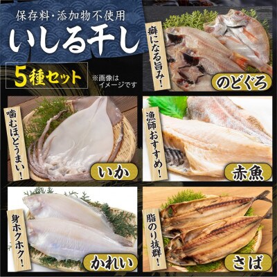 【復興支援】いしる干し(干物、冷凍)セット(大)