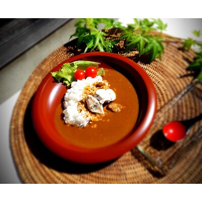 奥能登プレミアムレトルトカレーセット