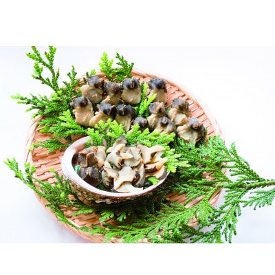 むしあわび・アカニシ貝酒蒸しセット