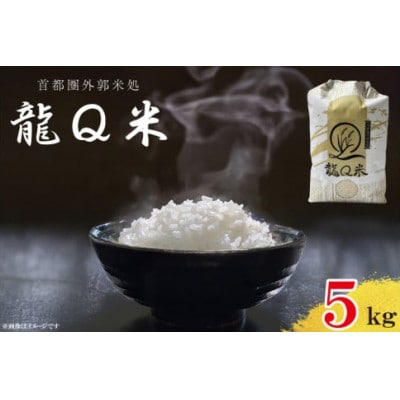 令和6年産　龍Q米　精米【5kg】