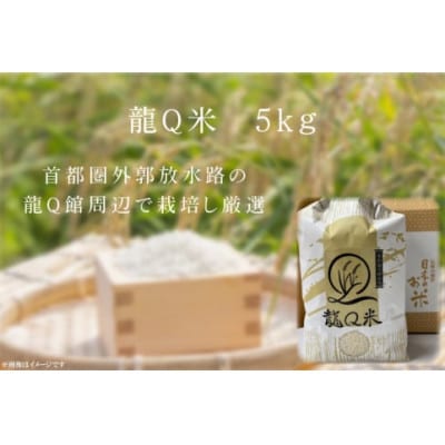 令和6年産　龍Q米　精米【5kg】