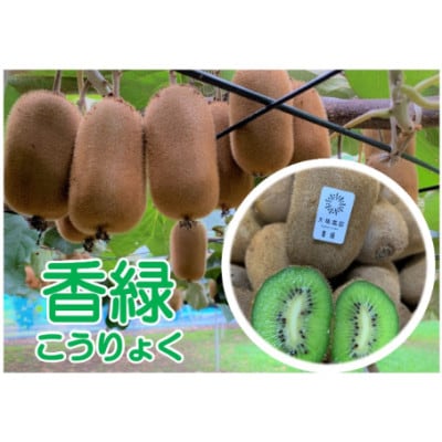 【春日部市】香緑27玉入り　大晴農園のキウイフルーツ