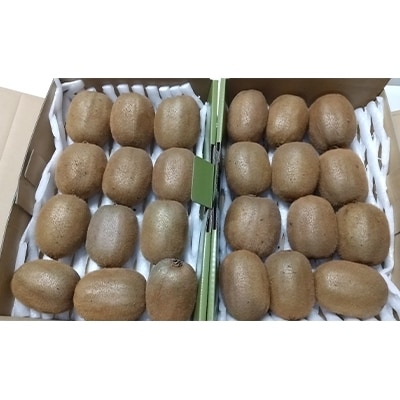 森田さんが作った春日部完熟キウイ4kg