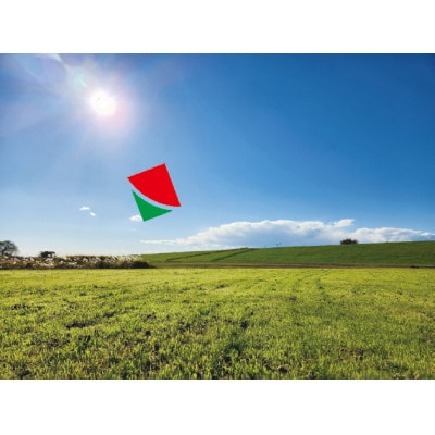 春日部大凧あげ祭り「ファミリーシート」【5月3日実施】