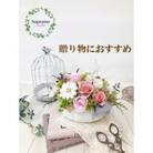 プリザーブドフラワーアレンジ【プリモ】 春日部市 シュガーパイン