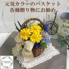 シュガーパインのプリザーブドフラワーアレンジ【カーラ】春日部市