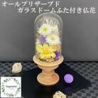 シュガーパインのプリザーブドフラワーアレンジ【清華(きよばな)/うす茶】春日部市