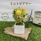 プリザーブドフラワーアレンジ【プティシュシュ/イエロー】春日部市 シュガーパイン
