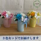 プリザーブドフラワーアレンジ【フロットン　3色セット】春日部市 シュガーパイン