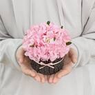 プリザーブドフラワーアレンジ【さくらの木】春日部市 シュガーパイン