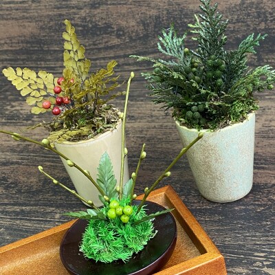 プリザーブドフラワーアレンジ【ミニ盆栽・ミニ観葉植物 計3個セット】春日部市 シュガーパイン