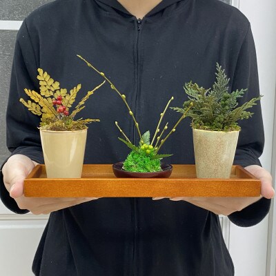 プリザーブドフラワーアレンジ【ミニ盆栽・ミニ観葉植物 計3個セット】春日部市 シュガーパイン