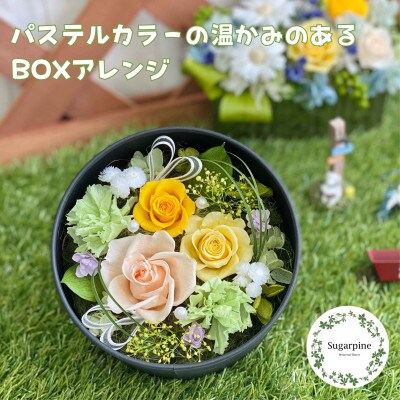 プリザーブドフラワーアレンジ【レンツ】春日部市 シュガーパイン