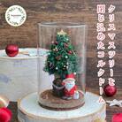 プリザーブドフラワーアレンジ【ペールノエル】春日部市 シュガーパイン