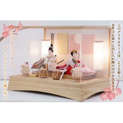 清宝作雛人形ケース飾り　柳親王　柄入りアクリルケース　栓木ナチュラル色(AB232A-46)