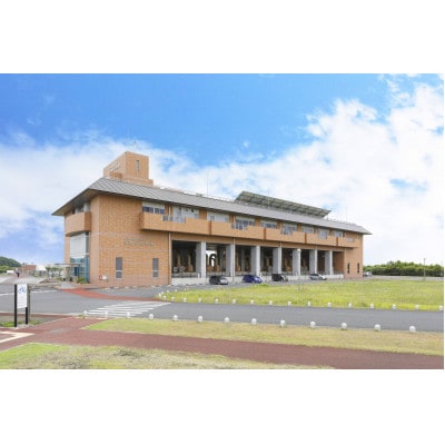 首都圏外郭放水路　大人気!地下神殿見学コースぺアチケット(引換券)