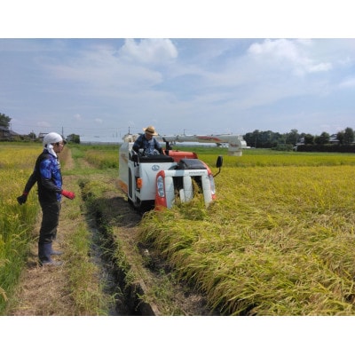 スマート農業技術を活用した　令和7年産　彩のきずな白米　5kg