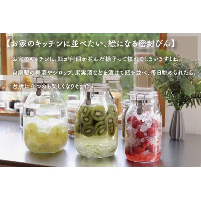 食品の長期保存にぴったり!　セラーメイト 取手付密封びん4L・2L・1Lセット